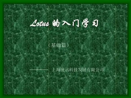 Lotus_的入门学习