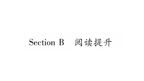 SectionB