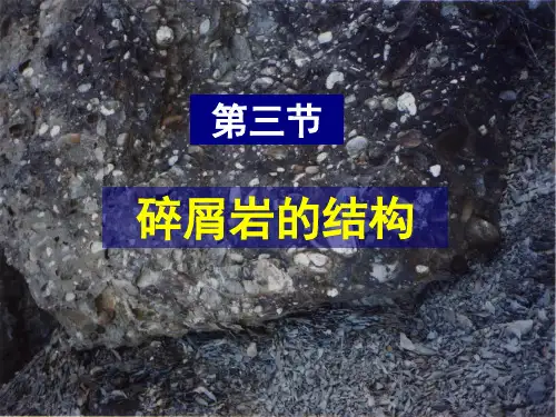 沉积岩石学_第四章__三节PPT