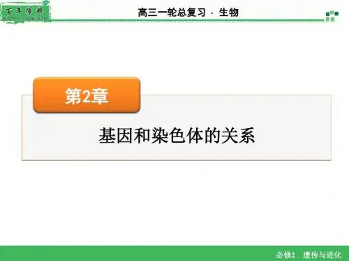 2016届高考生物大一轮复习课件：必修2 第2章 第1节减数分裂和受精作用
