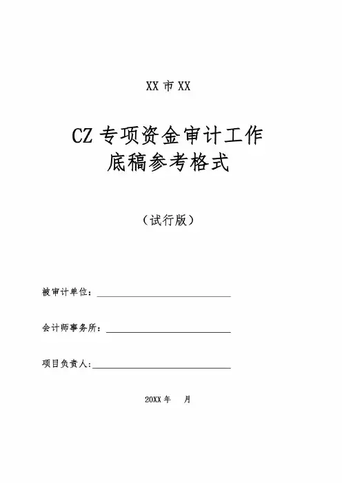 财政专项资金审计工作底稿