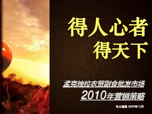 (鄂尔多斯)-孟克烛拉农贸副食批发市场营销策略总纲-10年-(马太福星)