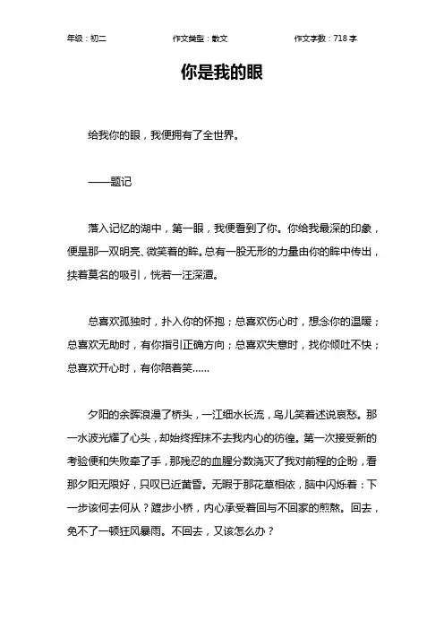 你是我的眼作文【初中初二700字】
