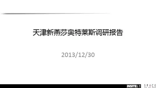 201312天津新燕莎奥特莱斯调研报告