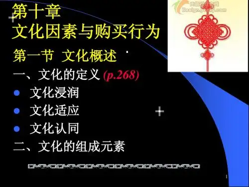 消费者行为学 10 文 化
