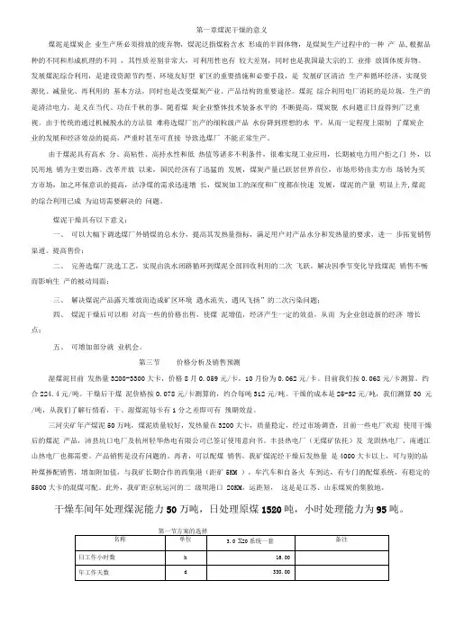 煤泥干燥可行性研究报告