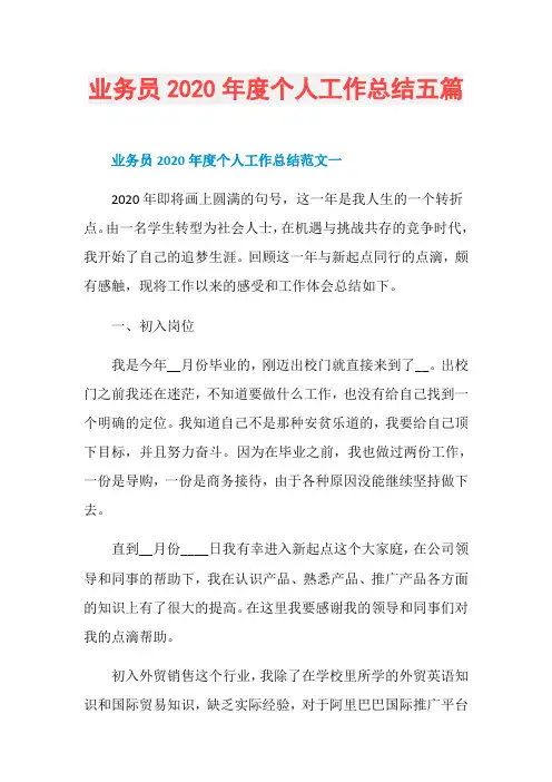 业务员2020年度个人工作总结五篇