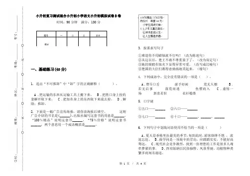 小升初复习测试混合小升初小学语文小升初模拟试卷B卷