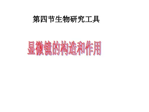 显微镜的构造和作用