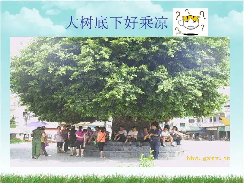 绿色植物与生物圈的水循环PPT课件