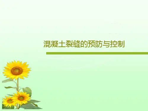 混凝土裂缝的预防与控制58页PPT