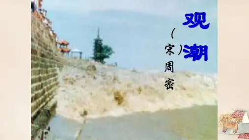 广东省深圳市文汇中学八年级语文上册 28《观潮》课件 新人教版