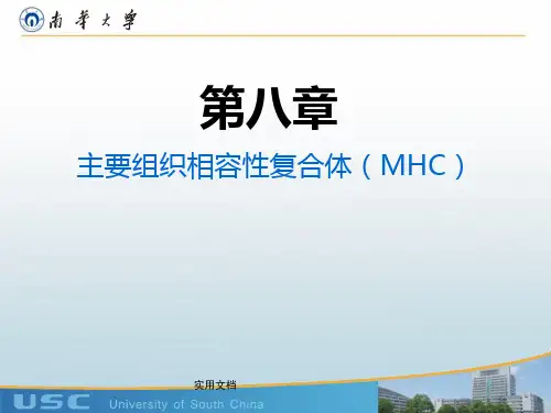 医学免疫学- MHC