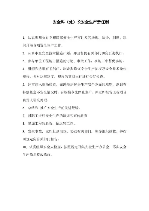 安全科(处)长安全生产责任制
