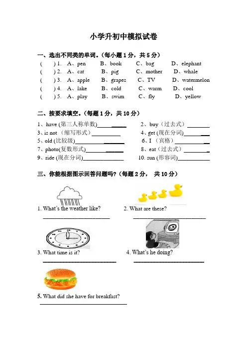 小升初英语试卷
