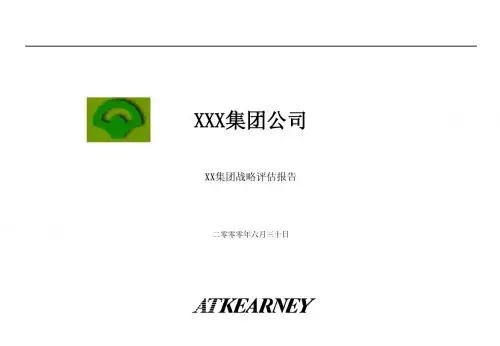 XXX集团战略报告
