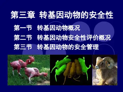 第三章转基因动物的安全性.