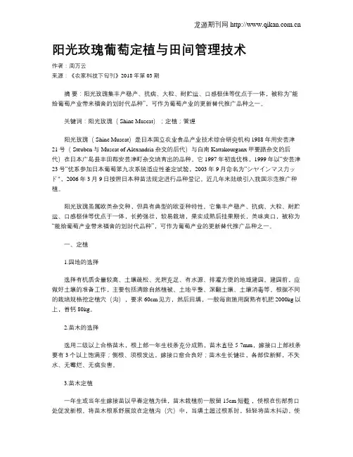 阳光玫瑰葡萄定植与田间管理技术