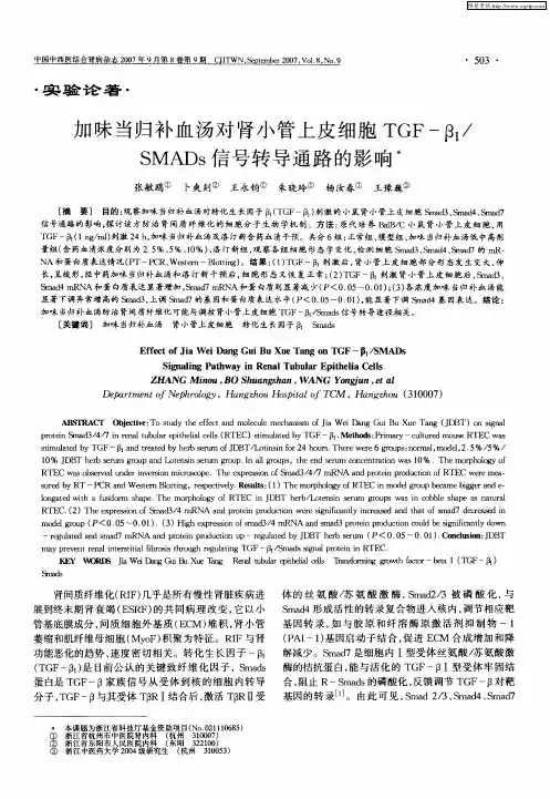 加味当归补血汤对肾小管上皮细胞TGF-β1／SMADs信号转导通路的影响