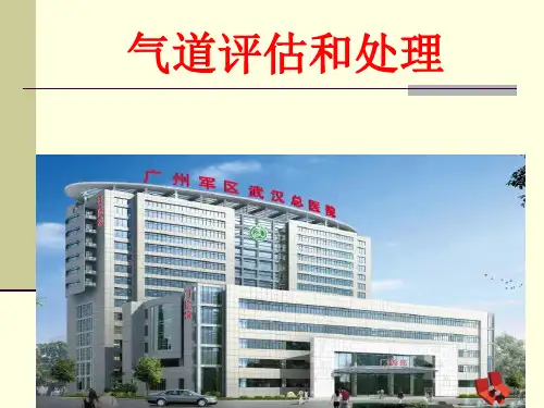 气道评估和处理 ppt课件