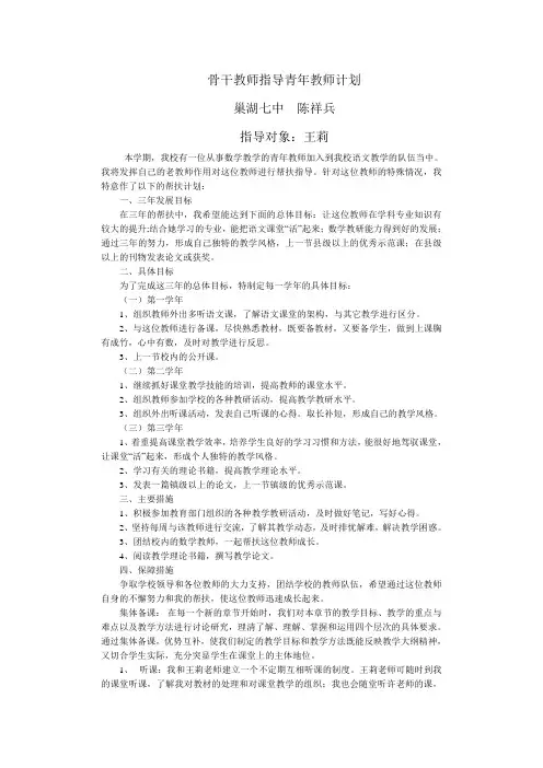 老教师帮扶青年教师计划