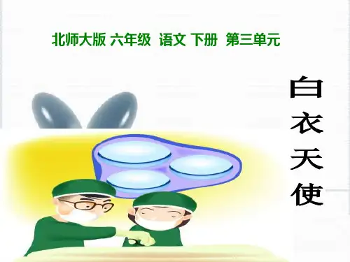 《白衣天使》PPT课件讲课讲稿