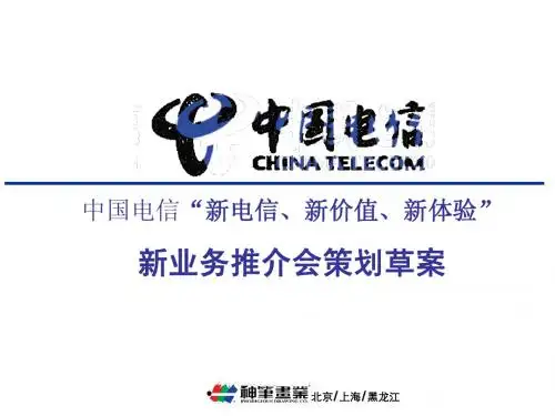 电信推介会