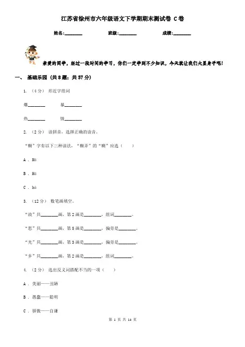 江苏省徐州市六年级语文下学期期末测试卷 C卷