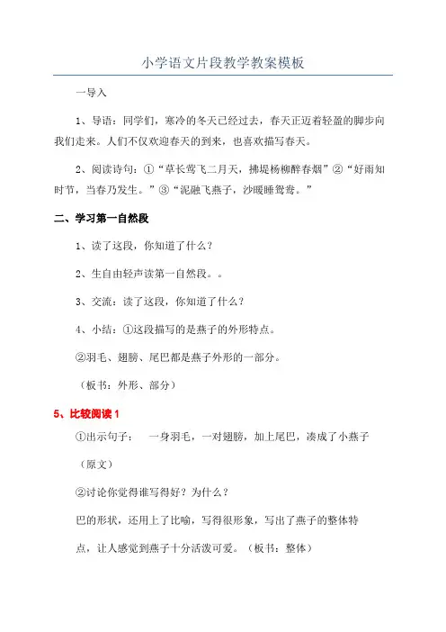 小学语文片段教学教案模板
