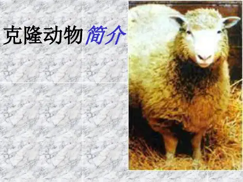 人教版生物七上2.1 科学·技术·社会 克隆哺乳动克隆动物简介 课件 (共47张PPT)