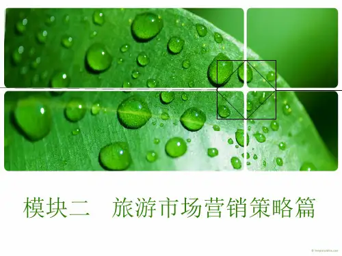 项目七制定旅游产品价格策略.