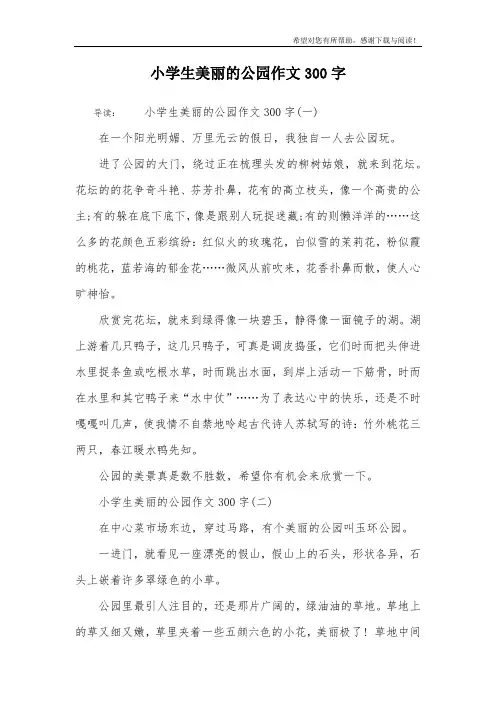 小学生美丽的公园作文300字