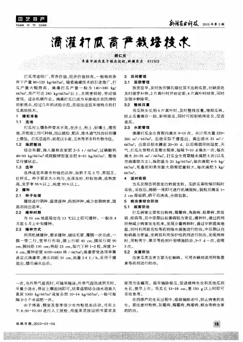 滴灌打瓜高产栽培技术