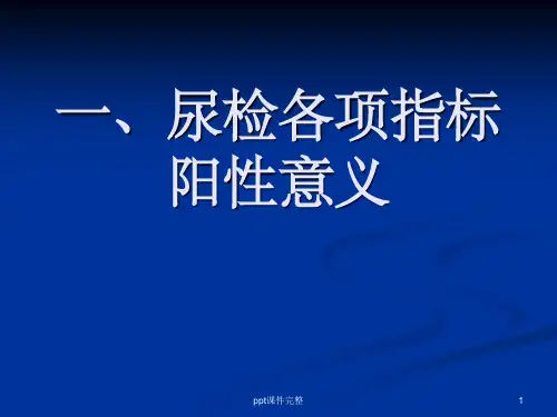 尿常规常规知识PPT课件