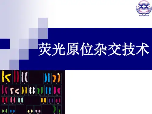 荧光原位杂交-更新