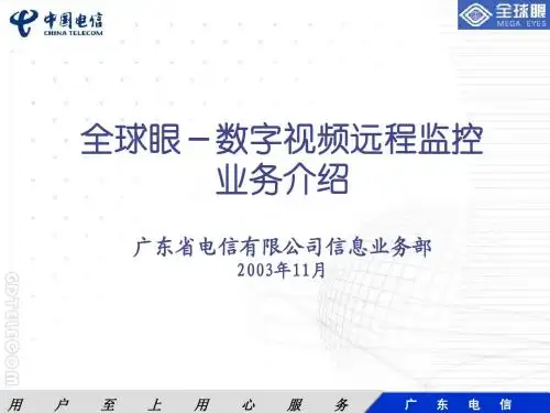2003.全球眼业务介绍1112