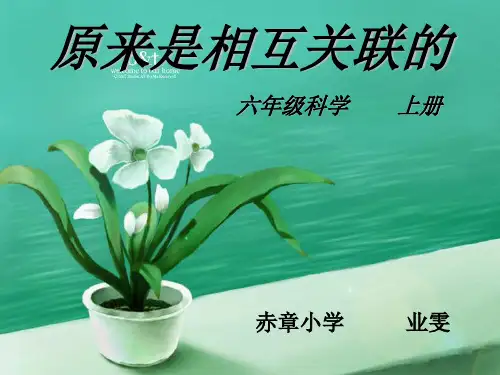 六年级科学上册原来是相互关联的
