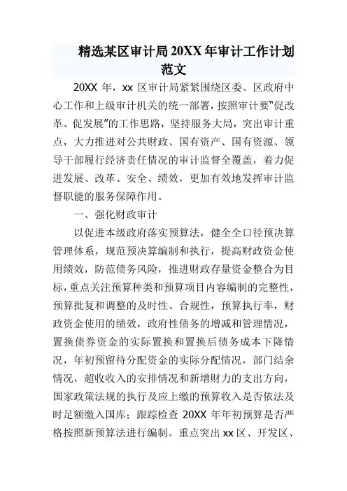 某区审计局2017年审计工作计划范文