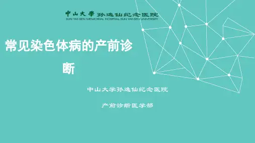 常见染色体病的产前诊断