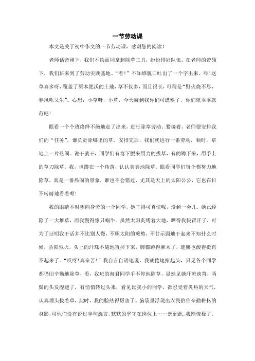 一节劳动课_初中作文