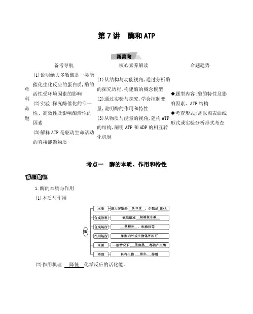 第7讲 酶和ATP 2021版高考生物(新高考)一轮复习