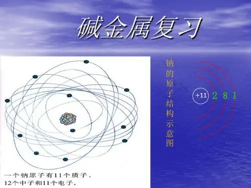 《碱金属》高考一轮复习课件(教学)