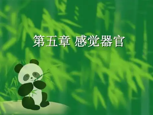 第五章 感觉器官