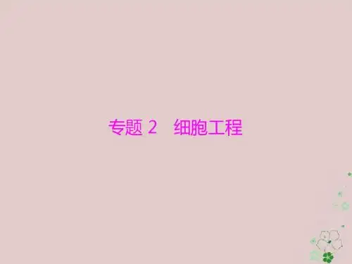 2019版高考生物一轮总复习现代生物科技专题专题2细胞工程课件选修3