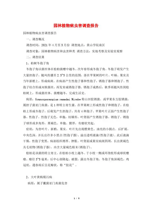 园林植物病虫害调查报告 2