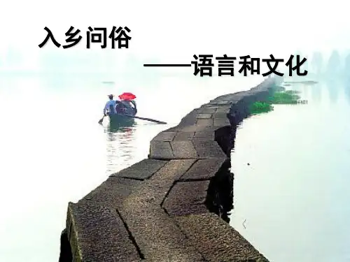 入乡问俗——语言和文化ppt12 人教课标版