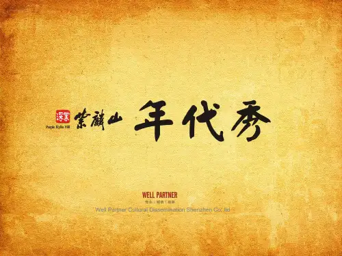 紫麟山十一年代秀主题活动策划方案