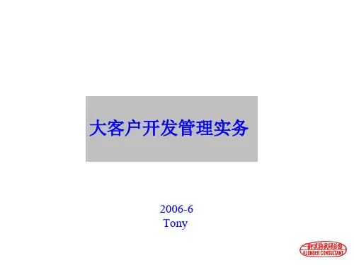 大客户开发管理实务 