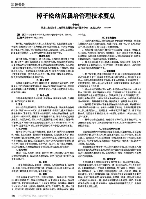 樟子松幼苗栽培管理技术要点