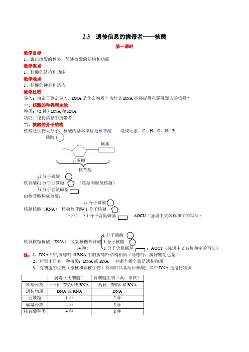 人教版高中必修一生物2.3--遗传信息的携带者——核酸--学案